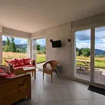 Neuf Au Calme Pres De Gerardmer Avec Terrasse Et Balades En Foret - Fr-1-589-217