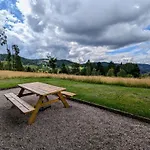 Neuf Au Calme Pres De Gerardmer Avec Terrasse Et Balades En Foret - Fr-1-589-217 *