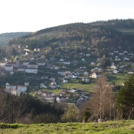 Neuf Au Calme Pres De Gerardmer Avec Terrasse Et Balades En Foret - Fr-1-589-217 勒索里