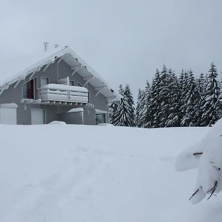 Neuf Au Calme Pres De Gerardmer Avec Terrasse Et Balades En Foret - Fr-1-589-217 度假居 *