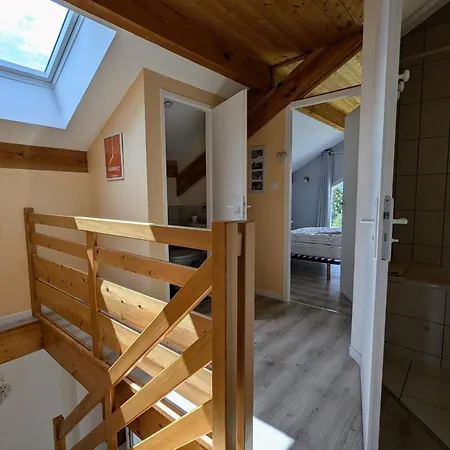 Neuf Au Calme Pres De Gerardmer Avec Terrasse Et Balades En Foret - Fr-1-589-217 *