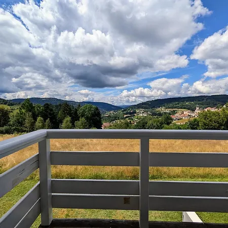 Neuf Au Calme Pres De Gerardmer Avec Terrasse Et Balades En Foret - Fr-1-589-217 勒索里