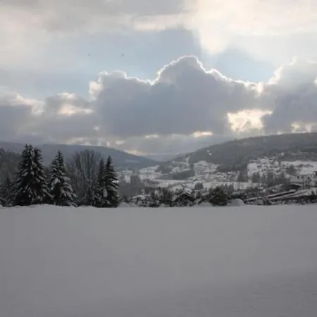 Neuf Au Calme Pres De Gerardmer Avec Terrasse Et Balades En Foret - Fr-1-589-217 *