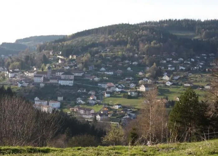 Neuf Au Calme Pres De Gerardmer Avec Terrasse Et Balades En Foret - Fr-1-589-217 Le Tholy