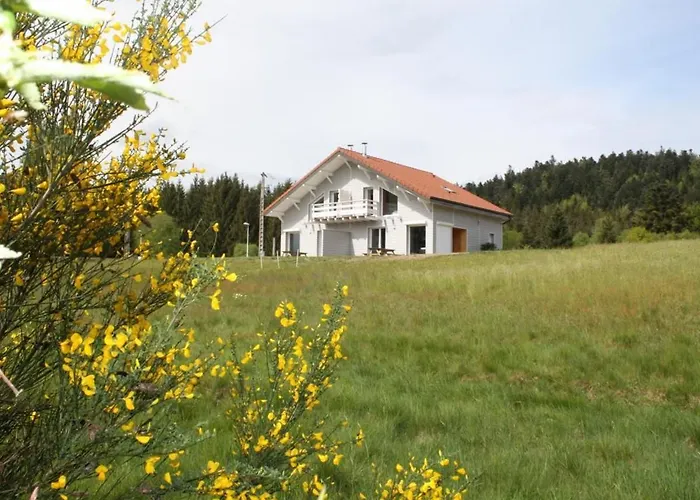 Prázdninový dům Neuf Au Calme Pres De Gerardmer Avec Terrasse Et Balades En Foret - Fr-1-589-217