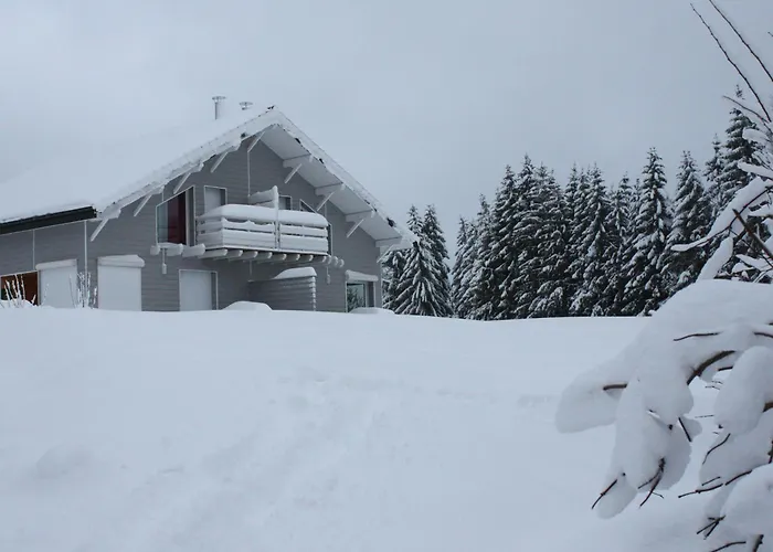 Neuf Au Calme Pres De Gerardmer Avec Terrasse Et Balades En Foret - Fr-1-589-217 Prázdninový dům *
