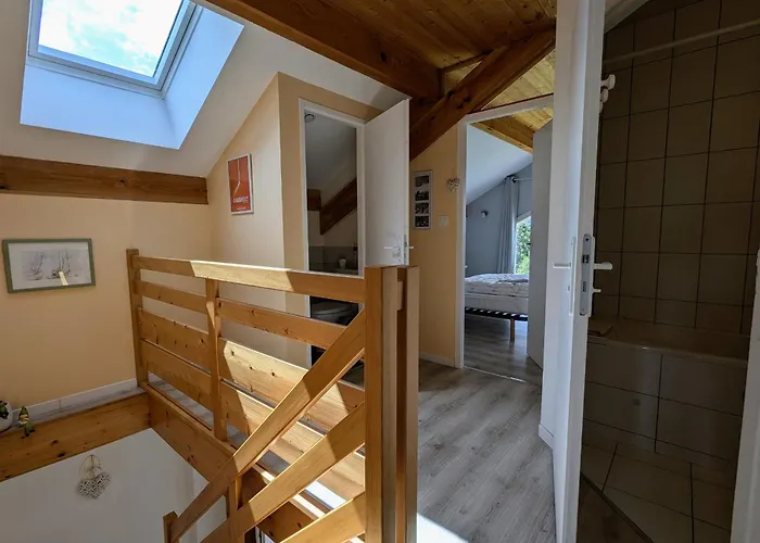 Neuf Au Calme Pres De Gerardmer Avec Terrasse Et Balades En Foret - Fr-1-589-217 *