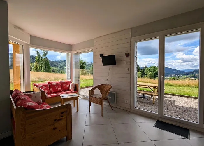 Neuf Au Calme Pres De Gerardmer Avec Terrasse Et Balades En Foret - Fr-1-589-217