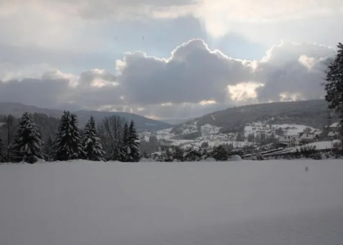 Neuf Au Calme Pres De Gerardmer Avec Terrasse Et Balades En Foret - Fr-1-589-217 *