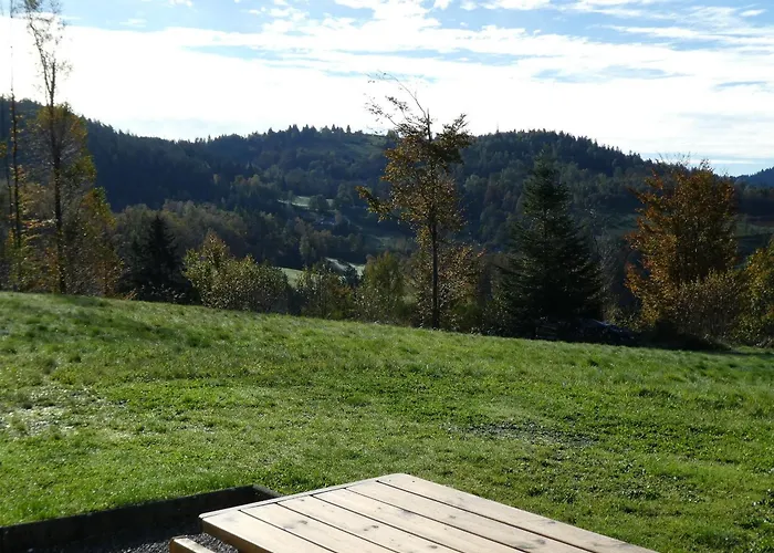 Prázdninový dům Neuf Au Calme Pres De Gerardmer Avec Terrasse Et Balades En Foret - Fr-1-589-217